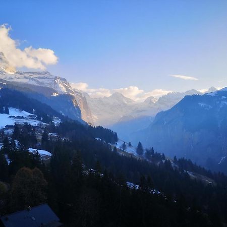 וונגן Swiss Lodge Hotel Bernerhof מראה חיצוני תמונה